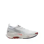 NIKE PEGASUS TRAIL 5 GORE-TEX