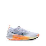 NIKE PEGASUS TRAIL 5 GORE-TEX